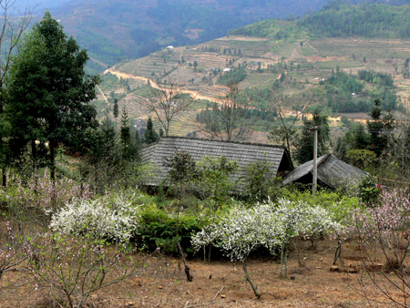 Du xuân Tây Bắc