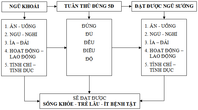 Các phương pháp đơn giản để dưỡng sinh - sức khỏe và phòng bệnh